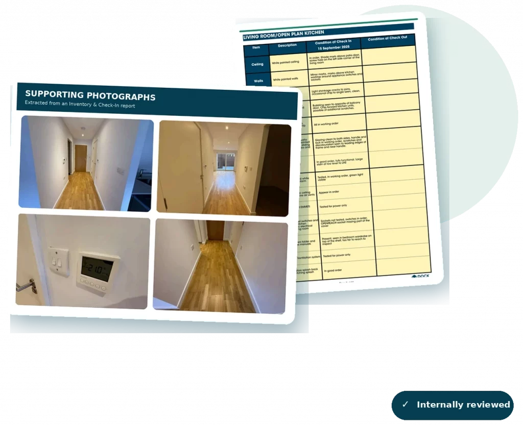 Example Dock Inventories report showing written observations with supporting photographs